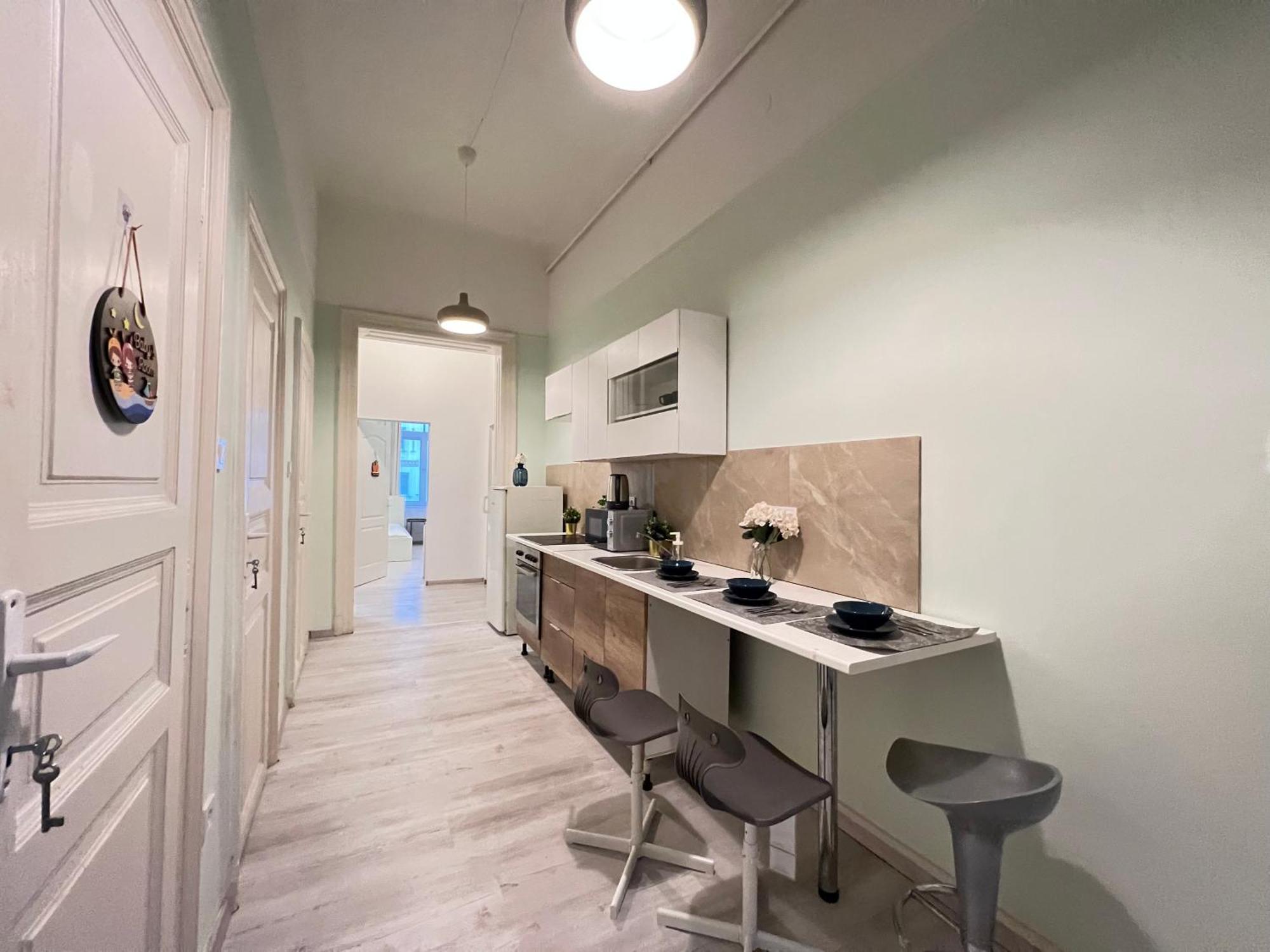 Baross Apartment With Convenience And Style Budapest Exterior photo